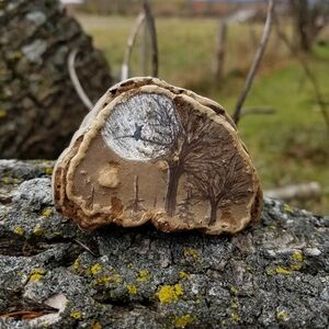 Owl Tree - Hand Drawn On Bracket Fungus
